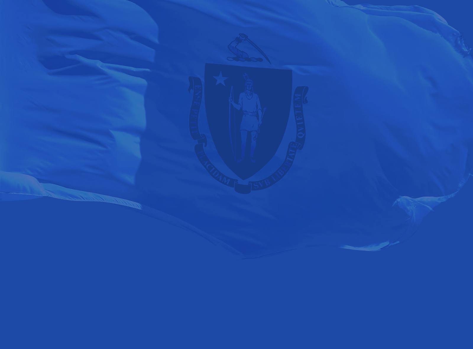 The Massachusetts state flag